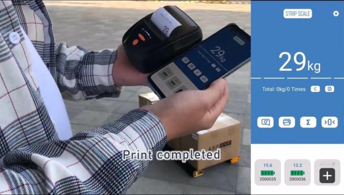 Электронная портативная шкала 4500 кг APP Control Industrial 10